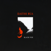Black Fox by Daithi Rua