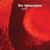 The Telescopes: Taste + The Perfect Needle EP