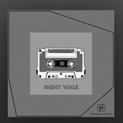 Night Walk
