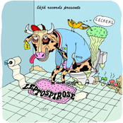 Split (Merda + Leptospirose)