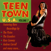 Teen Town USA Vol 7