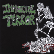 IMMORTAL TERROR "Complete Discography"
