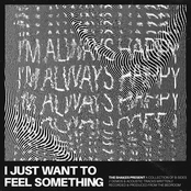 I Just Want to Feel Something