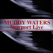 Boom, Boom by Muddy Waters