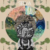 Selva