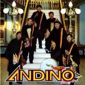 andino