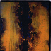 Contemporary Metal Vibes