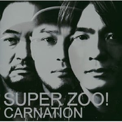 Super Zoo!