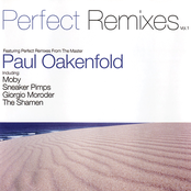 Perfect Remixes Vol 1