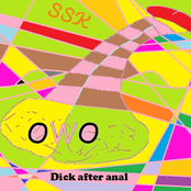 Dick After Anal