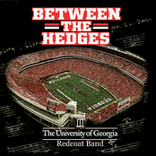 Between the Hedges