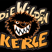 die wilden kerle