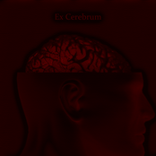 Ex Cerebrum