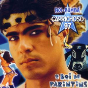 O Boi de Parintins