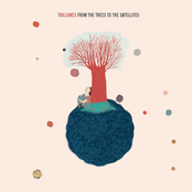 From the Trees to the Satellites