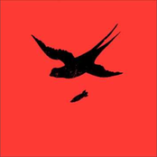 Allan Vogelan Hebban Nestas