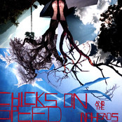 The Household Song by Chicks On Speed And The No Heads