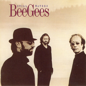 I Will by Bee Gees