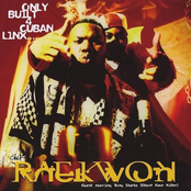Only Built 4 Cuban Linx...