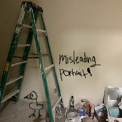 misleading portrait