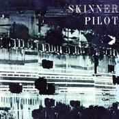 Skinner Pilot