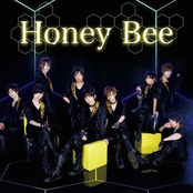 Honey Bee