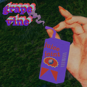 Grapevine (Cassette Version)