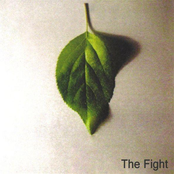 the fight