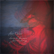 Sorry for the Pain and the Hurting