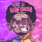 Not a Sad Song - Single
