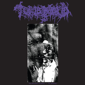 Tomb Mold: The Bottomless Perdition / The Moulting