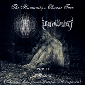 FACE II: Miseria  (The ritual decomposition of corpses in the emptiness)