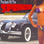 The Best Of The Springers