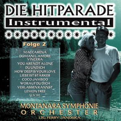 world hits instrumental, volume 11