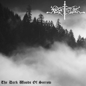 The Dark Woods of Sorrow