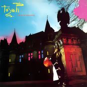 Love Me by Toyah