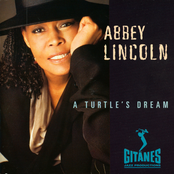 A Turtle's Dream by Abbey Lincoln