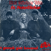 De Pieteröliekar