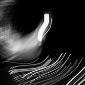 Cathedrals of the spectral viscera, Vol. II