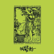 2018 - 4 Way Split Tape