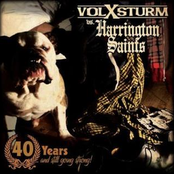 Volxsturm vs. Harrington Saints-Split