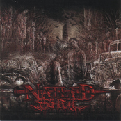 Nailed Shut: Indecent Disposal