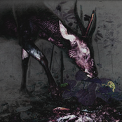 ie well 00 14 i can just 09nm almost recieve AND today no buts -3 by the way i→{LOVE}←♥4792197♥