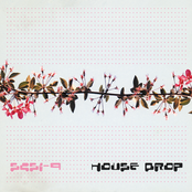 House Drop by Scsi-9