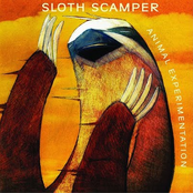 Animal Experimentation