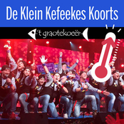 De Klein Kefeekes Koorts