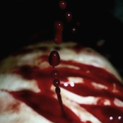 じ、じろじろ見ないでください…！