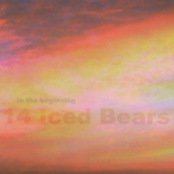 Like A Dolphin by 14 Iced Bears