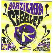 Brazilian Pebbles Vol. 2