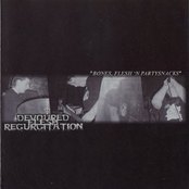 Bones,Flesh 'N Partysnacks